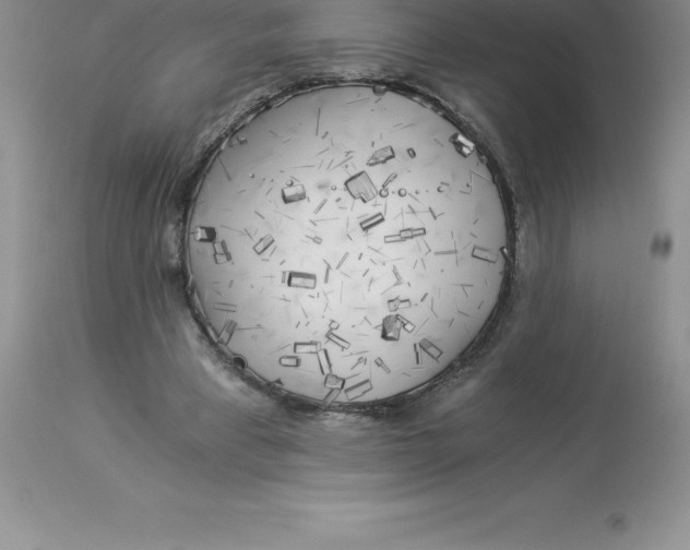 X0000112880393200909181853