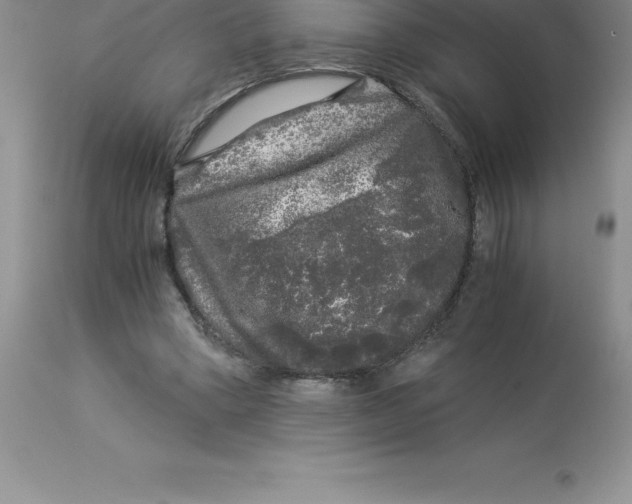 X0000112880394200909181853