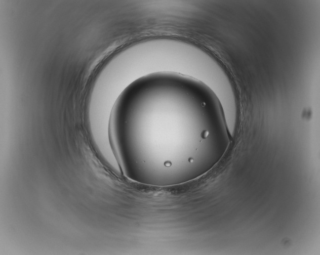 X0000112880395200909181853