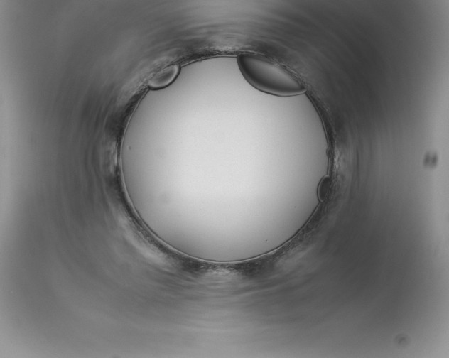 X0000112880397200909181853