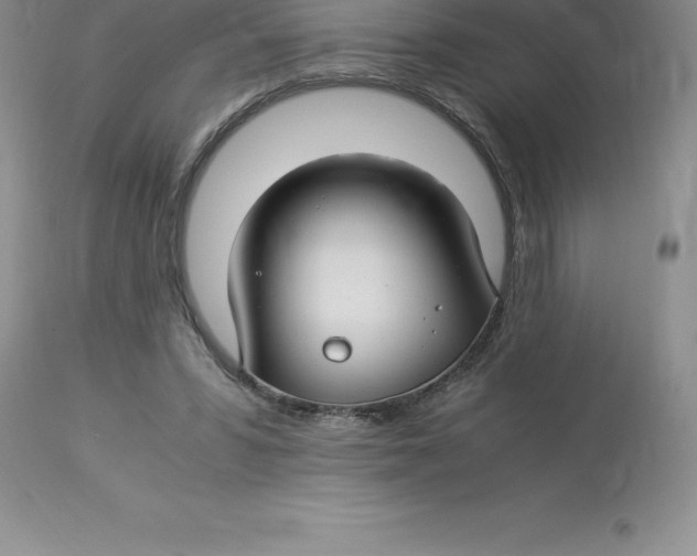 X0000112880399200909181853