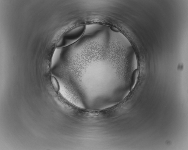 X0000112880401200909181853