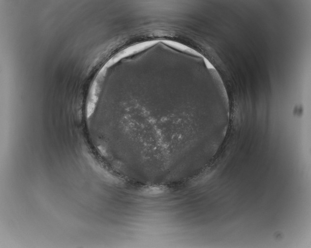 X0000112880402200909181853