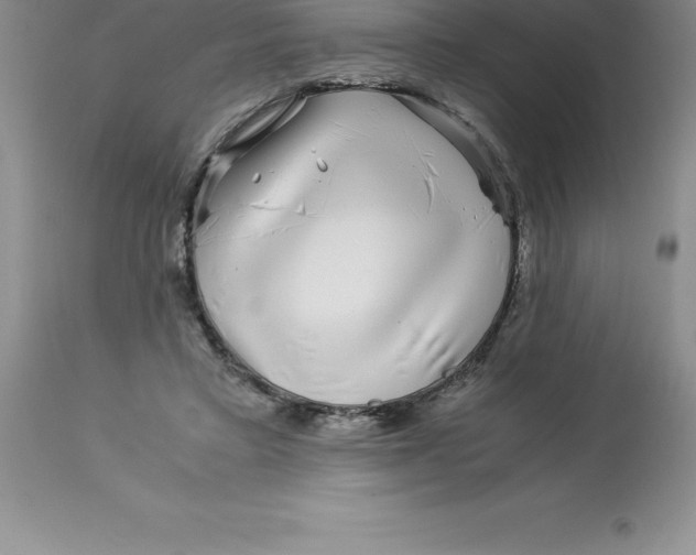 X0000112880403200909181853