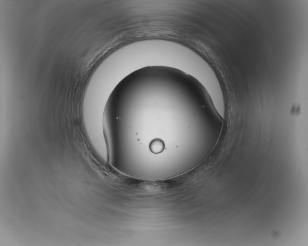 X0000112880405200909181853