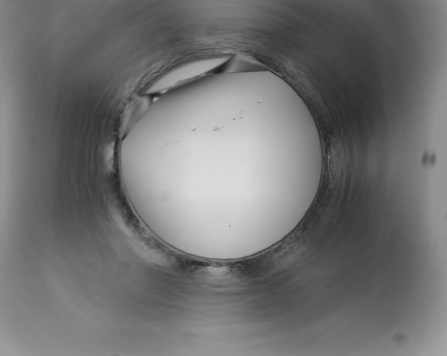 X0000112880406200909181853