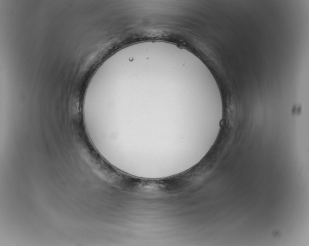 X0000112880407200909181853