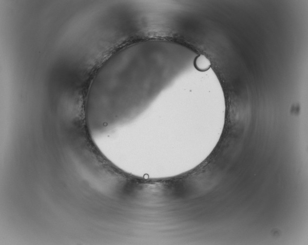 X0000112880411200909181853