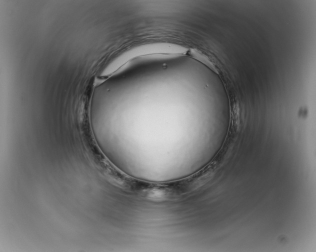 X0000112880412200909181853