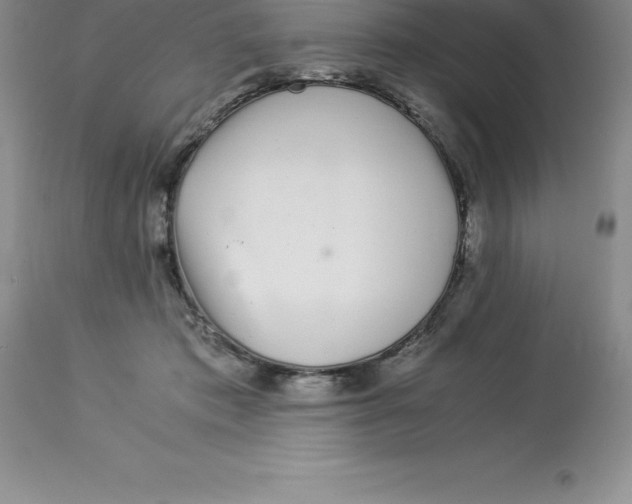 X0000112880413200909181853