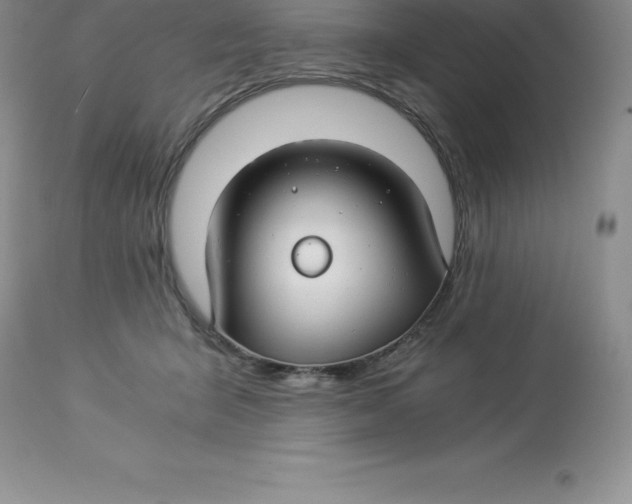 X0000112880415200909181853