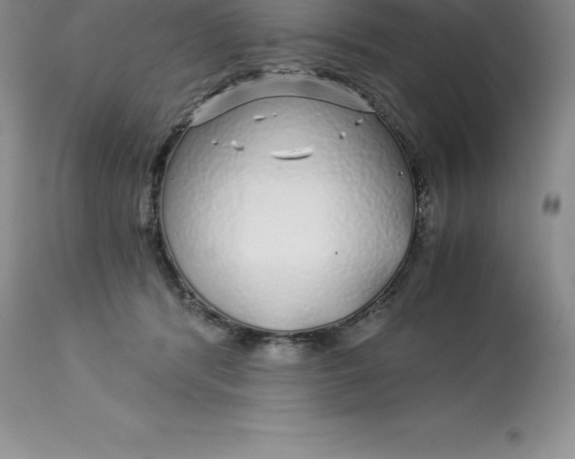 X0000112880416200909181853