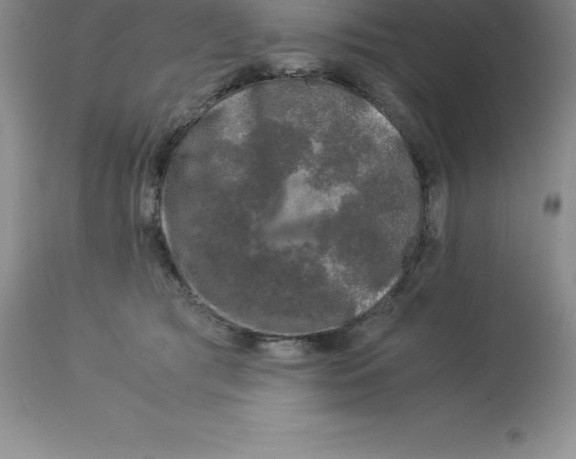 X0000112880417200909181853