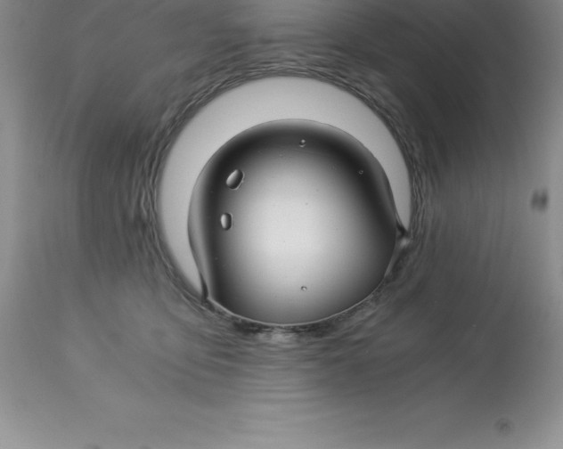 X0000112880419200909181853