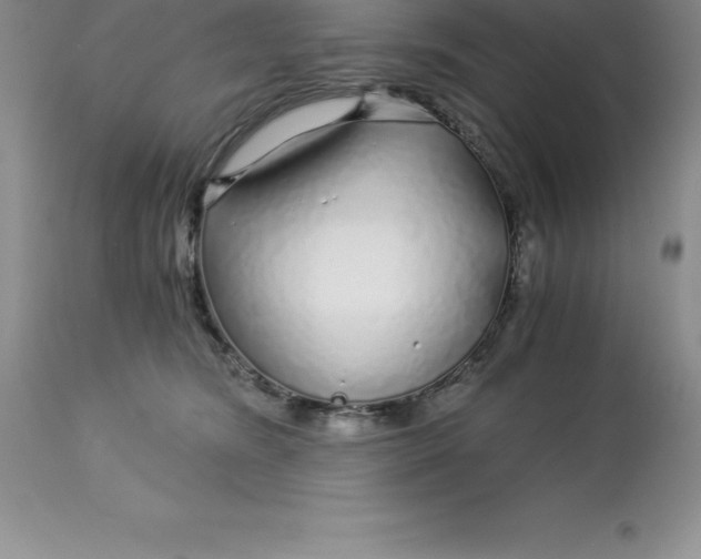 X0000112880420200909181853