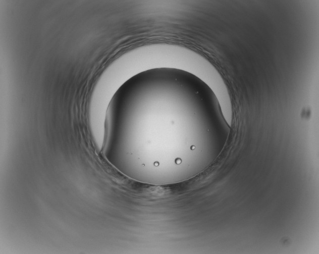 X0000112880421200909181853