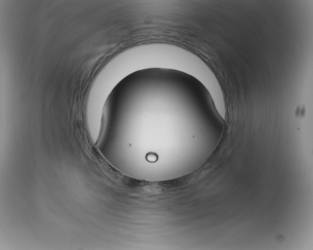 X0000112880423200909181853