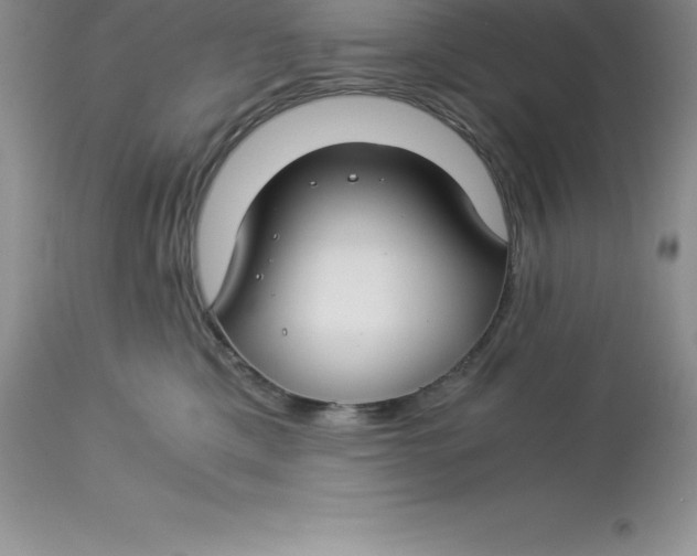 X0000112880425200909181852