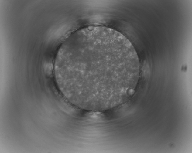 X0000112880427200909181852