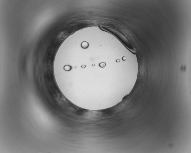 X0000112880429200909181852