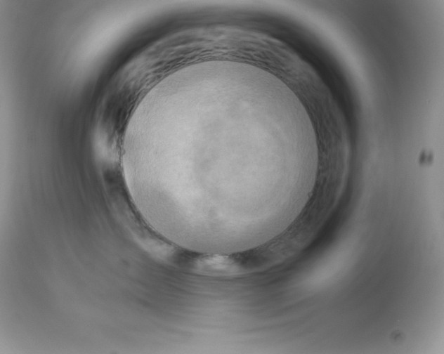 X0000112880431200909181852