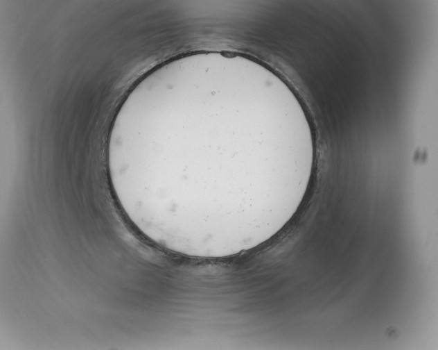 X0000112880433200909181852