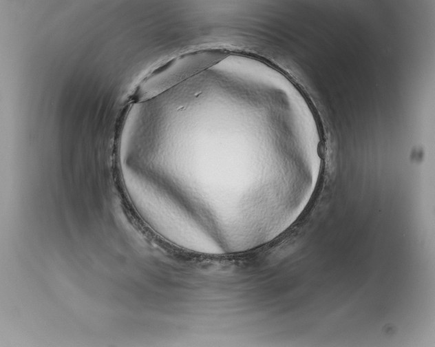 X0000112880434200909181852