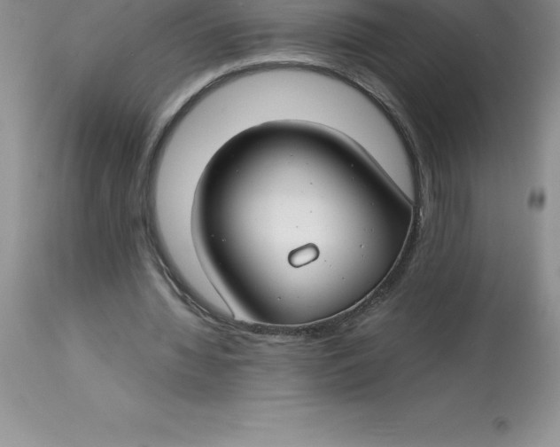 X0000112880436200909181852