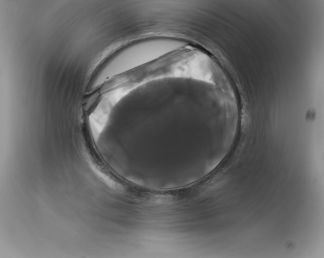 X0000112880438200909181852