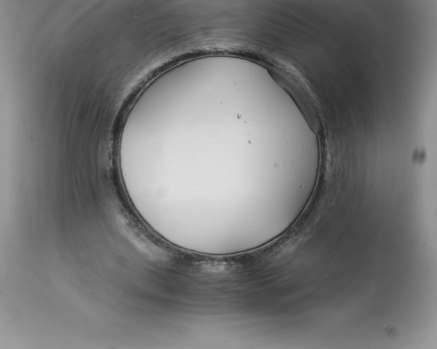 X0000112880439200909181852