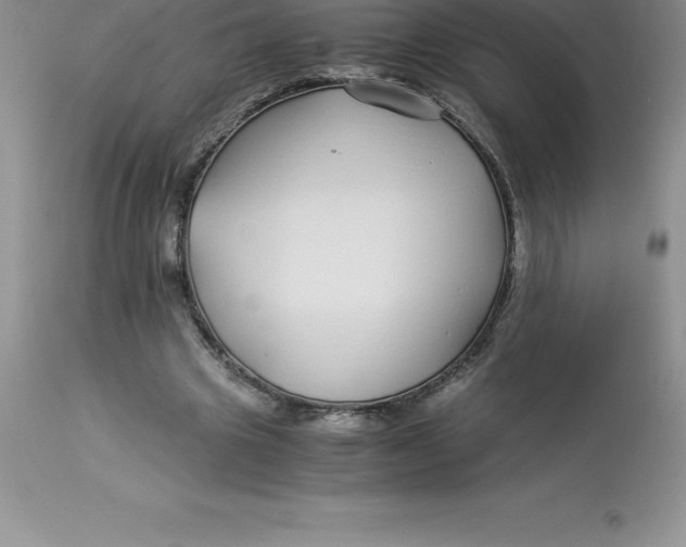 X0000112880441200909181852