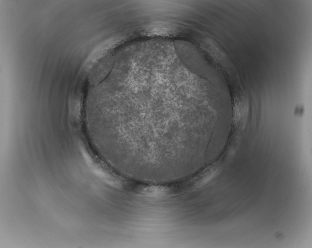 X0000112880444200909181852