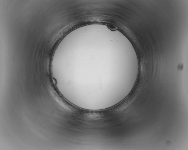 X0000112880445200909181852