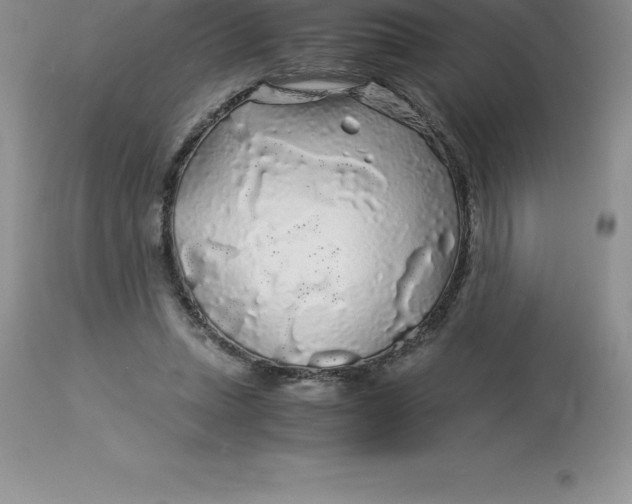 X0000112880447200909181852