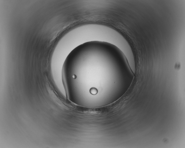 X0000112880448200909181852