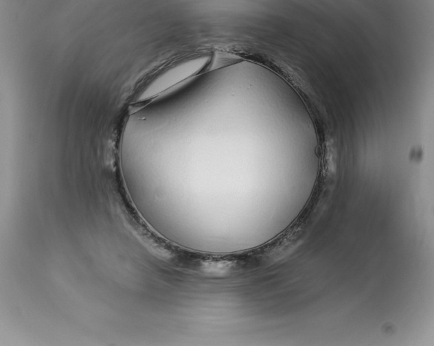 X0000112880450200909181852