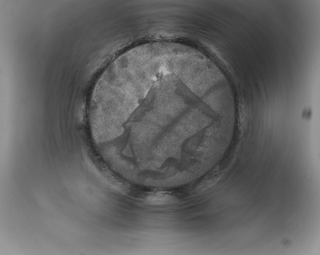 X0000112880451200909181852