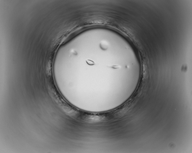 X0000112880453200909181852