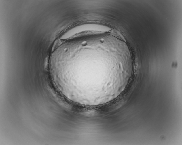 X0000112880454200909181852