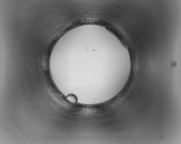 X0000112880455200909181852