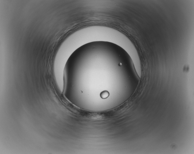 X0000112880456200909181852