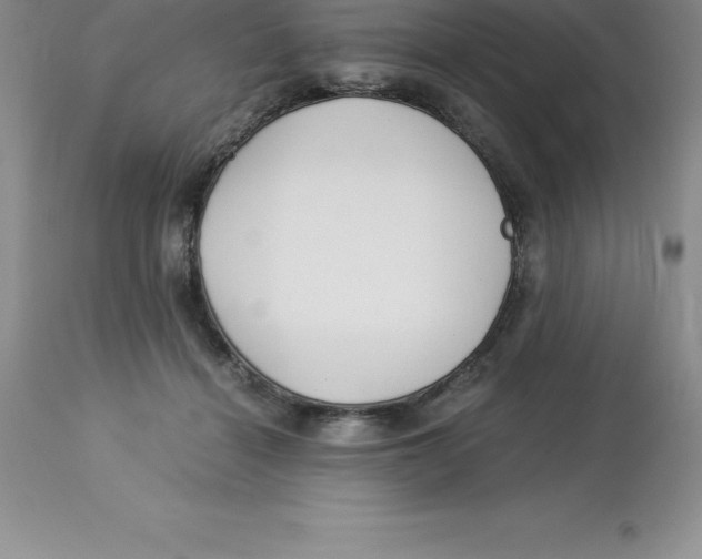 X0000112880460200909181852