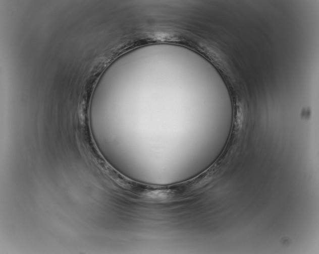 X0000112880461200909181852