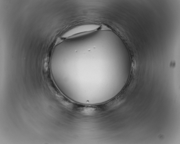 X0000112880462200909181852