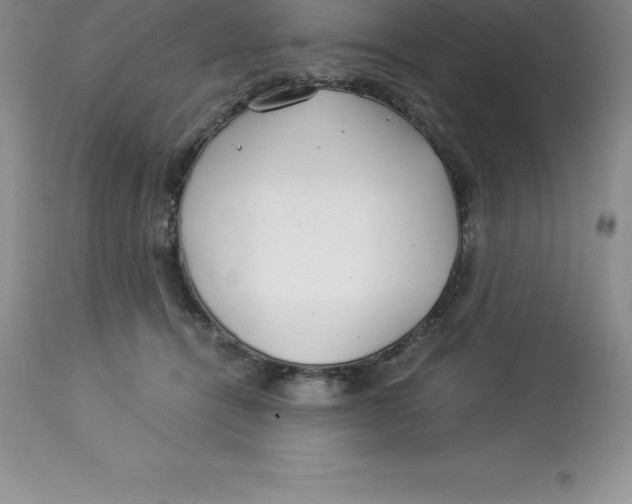 X0000112880464200909181852