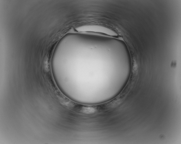 X0000112880469200909181852