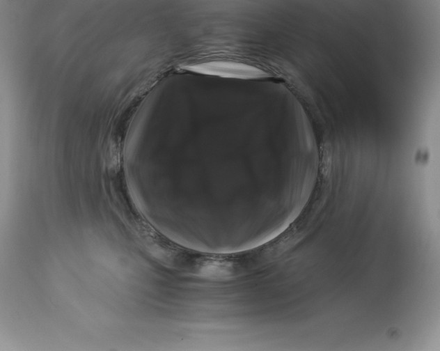 X0000112880471200909181852