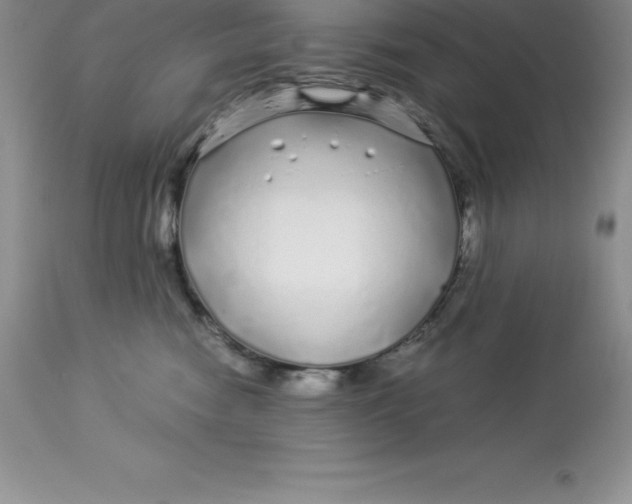 X0000112880474200909181852