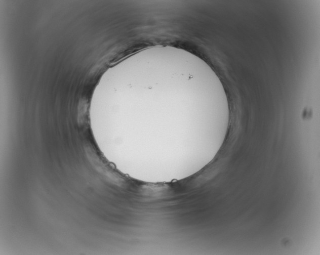 X0000112880480200909181852