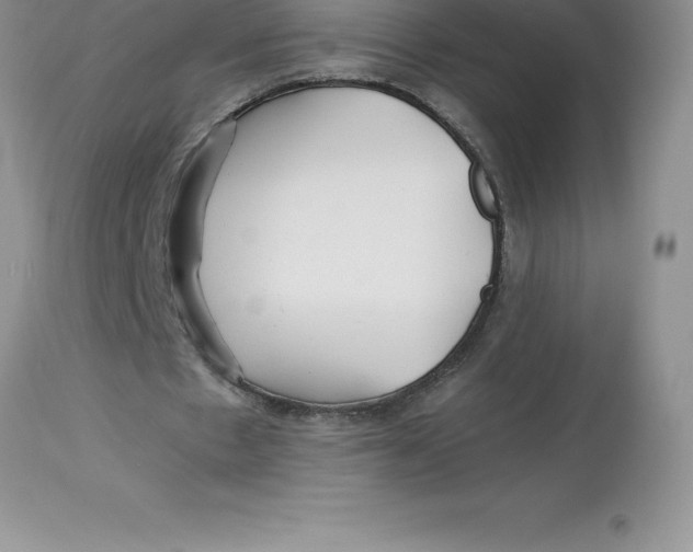 X0000112880481200909181852